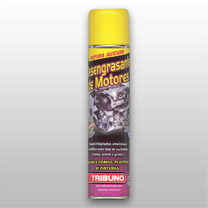 LAVAMOTOR EN AEROSOL